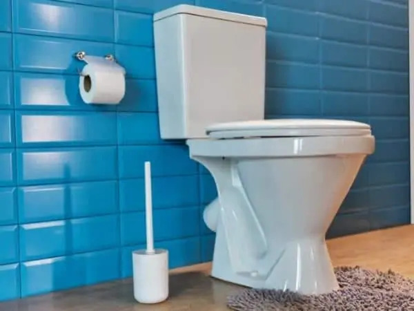 Toilet representing incontinence Contrelle 